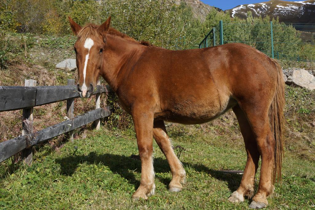 Le Domaine Du Trappeur Hotel Saint Sorlin d'Arves Eksteriør billede